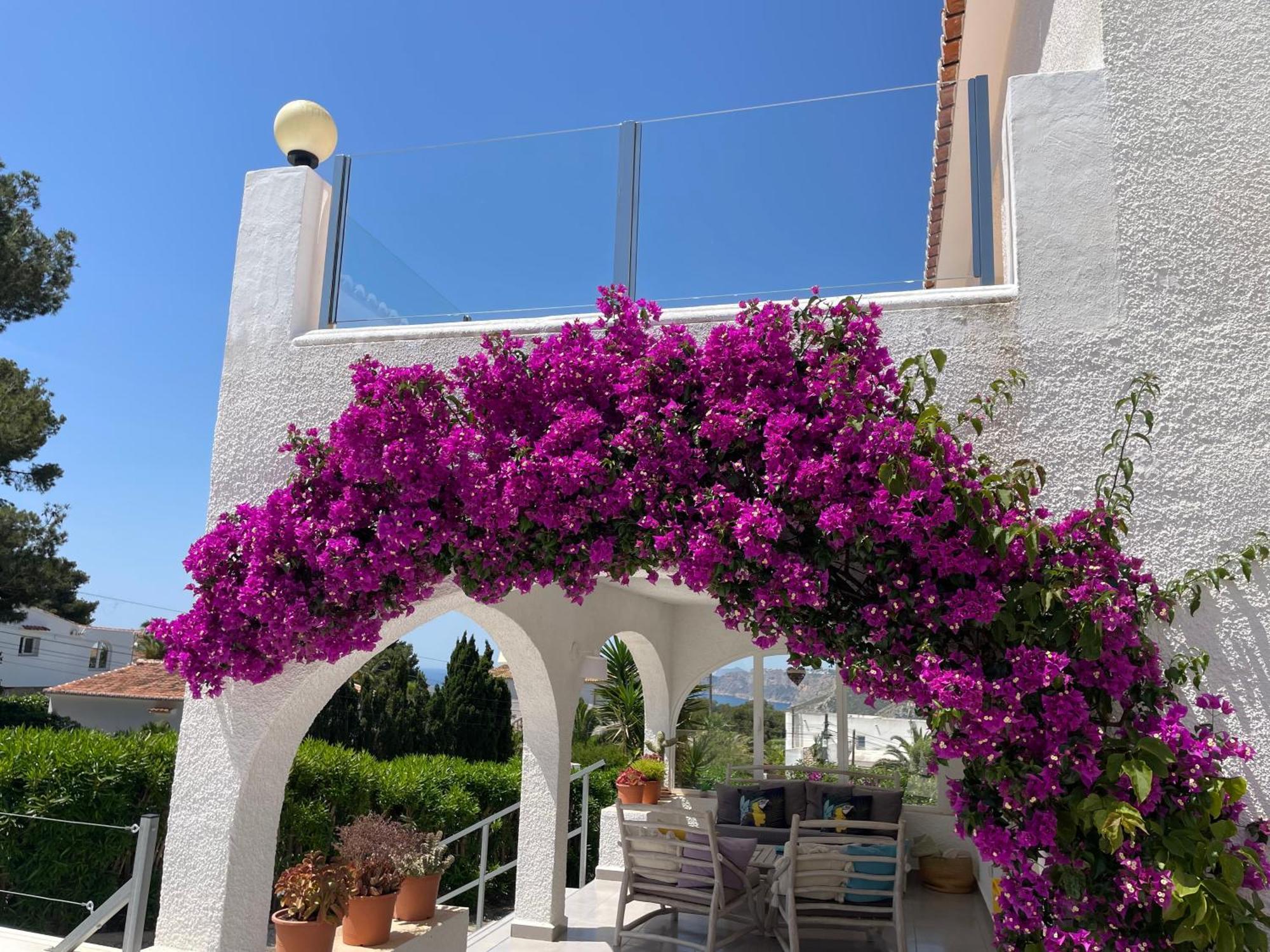 Villa Aqua Vista